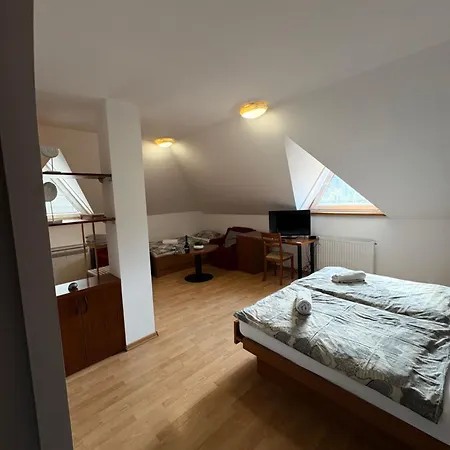 Gostilna In Pizzeria Kovac בית הארחה